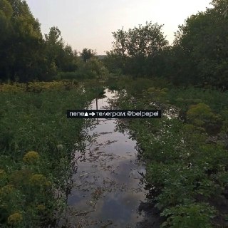 Прорыв плотины Белгородского водохранилища затопил огороды в Архангельском