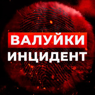 Медведь находит еду: Как косолапый вор проник в дом