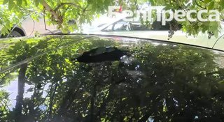 Атака БПЛА у ЗАГСа: пострадавший и поврежденный автомобиль