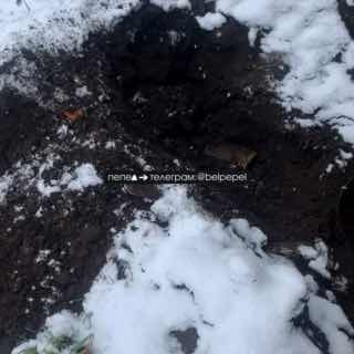Жительница Новой Таволжанки обратилась в ООН из-за нарушений прав