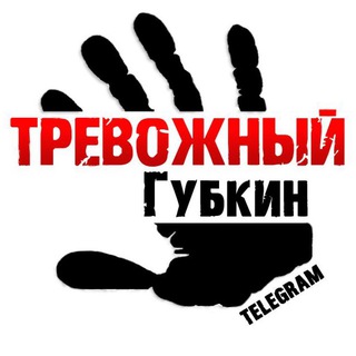 Обстрелы в Белгородской области: пострадавшие и повреждения